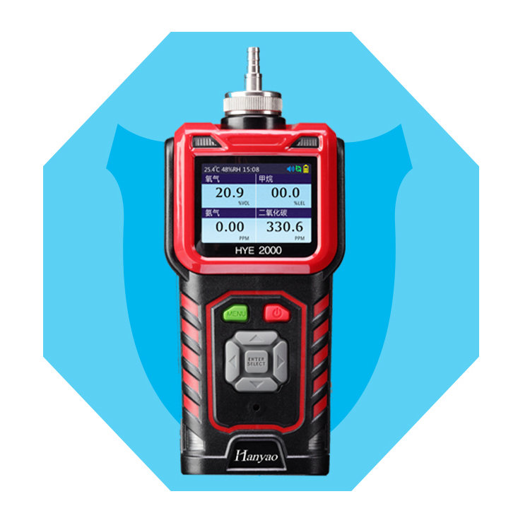 Pump Suction Portable Sulfuryl Fluoride Gas Detection Alarm Instrument